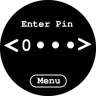 Enter Pin screen